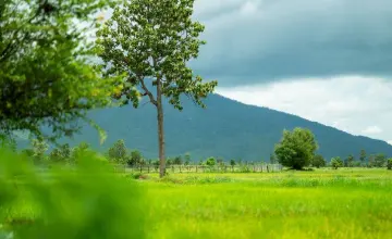 Docker重构虚拟化层：AI智能体的隔离环境正成为基础设施新底座
