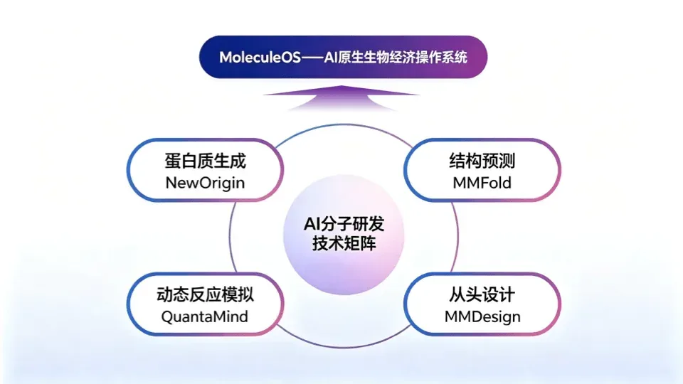 文章图片 4