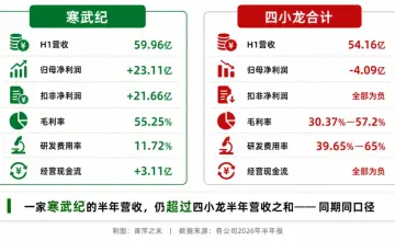 国产GPU四小龙会师资本市场：从「有没有」到「谁能跑出来」