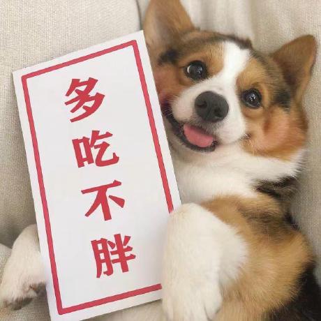 MCP服务器天气